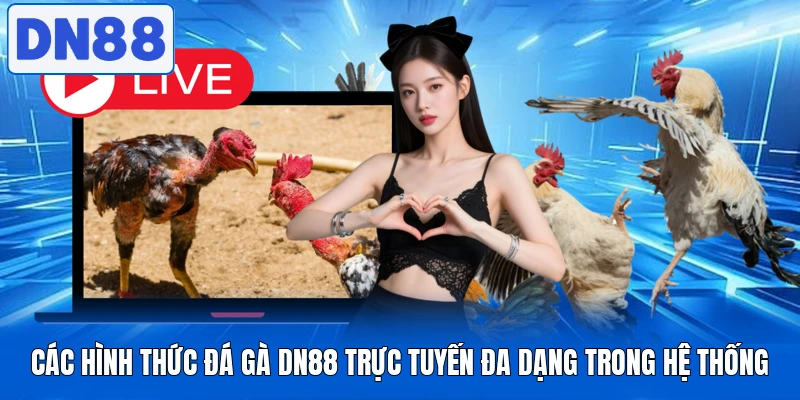 Các hình thức đá gà DN88 trực tuyến đa dạng trong hệ thống