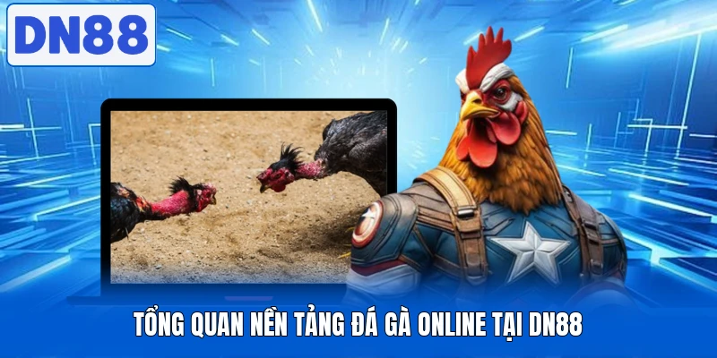Tổng quan nền tảng đá gà online tại DN88 